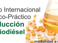 biodisol presenta el curso internacional teorico practico de produccion de biodiesel1