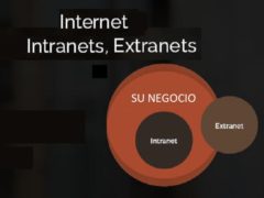 que es internet intranets extranets