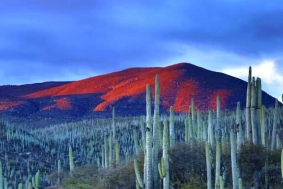 ¿Qué es el nearshoring y cómo impacta a México?